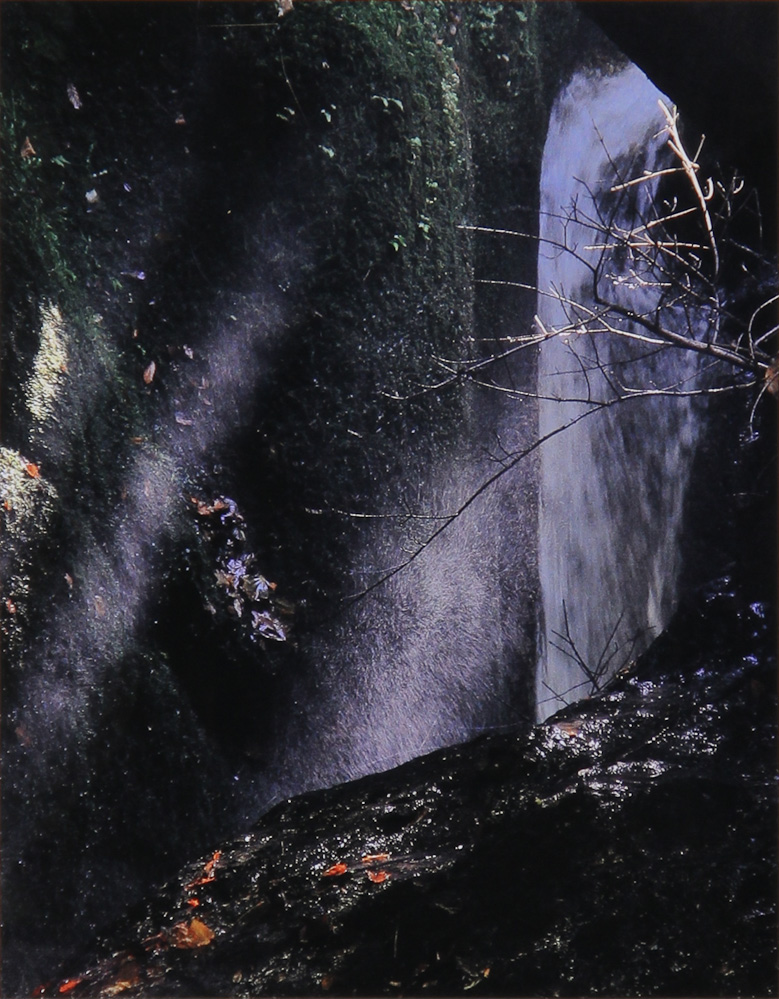 松谷憲利「陽気」