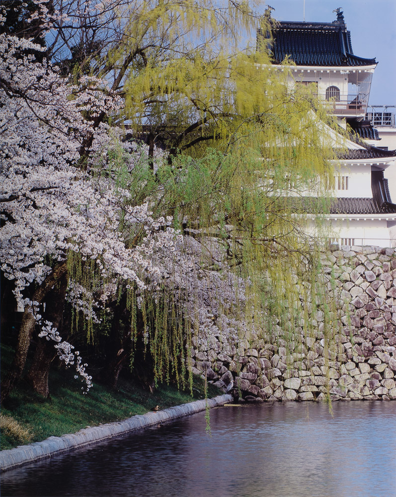 柳澤寧季「富山城の水鳥」