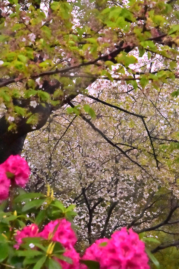松谷憲利_5