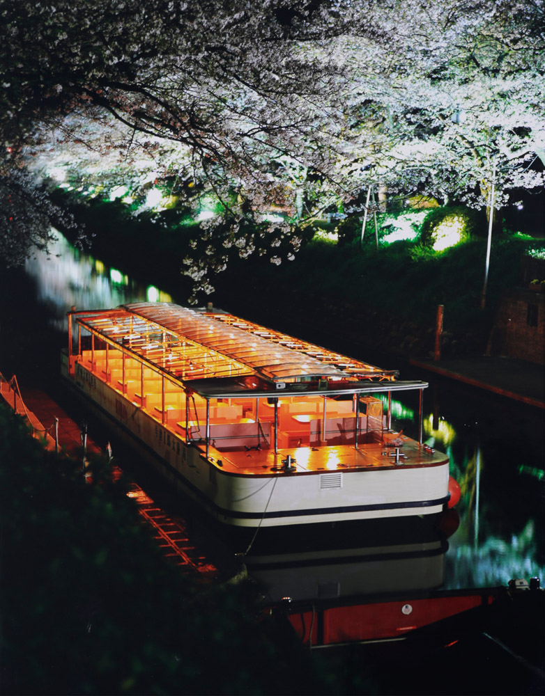 柳澤寧季　夜桜