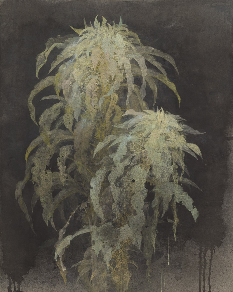 武部典子　十三夜