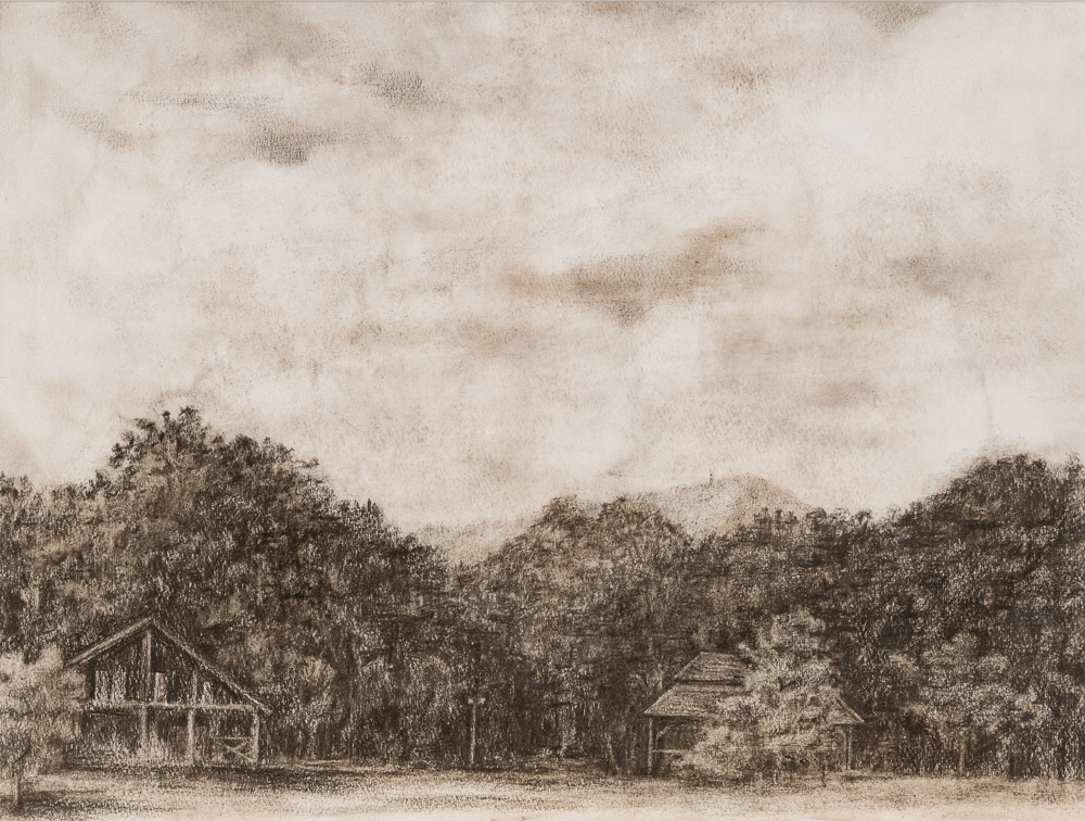 齋藤洋子　夏木立