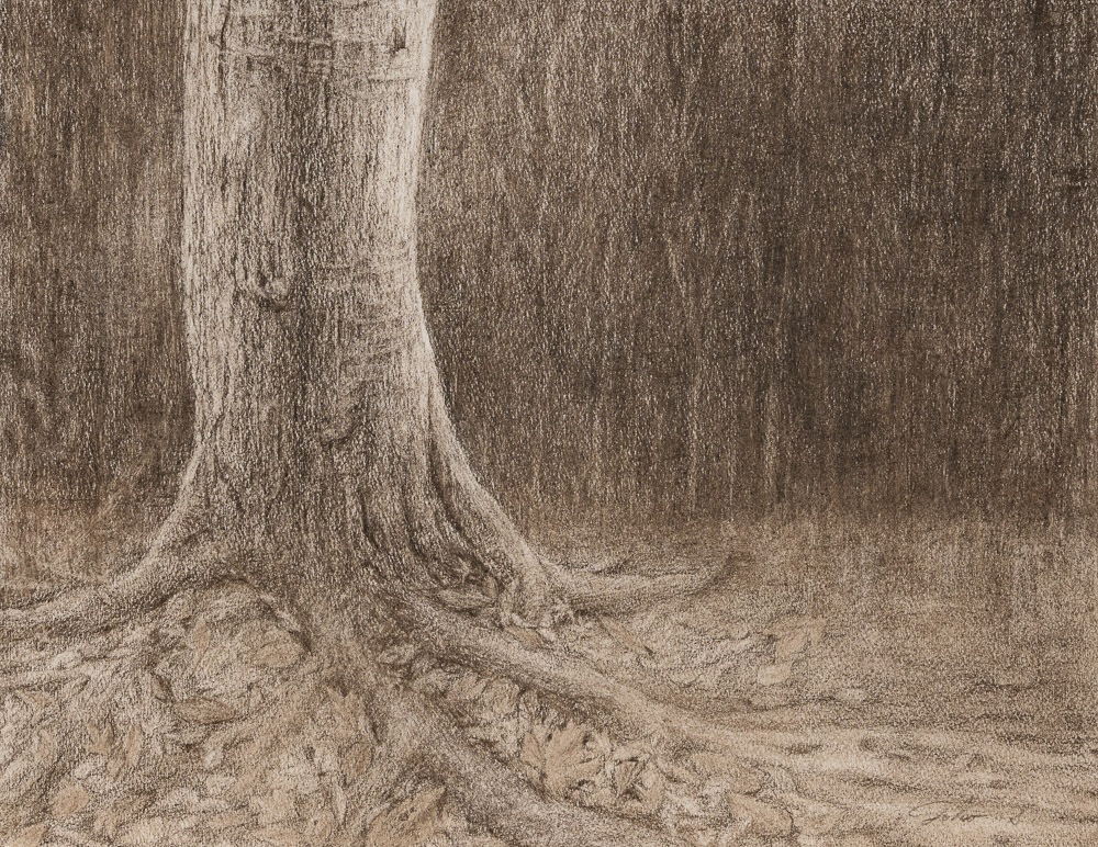 齋藤洋子　想望