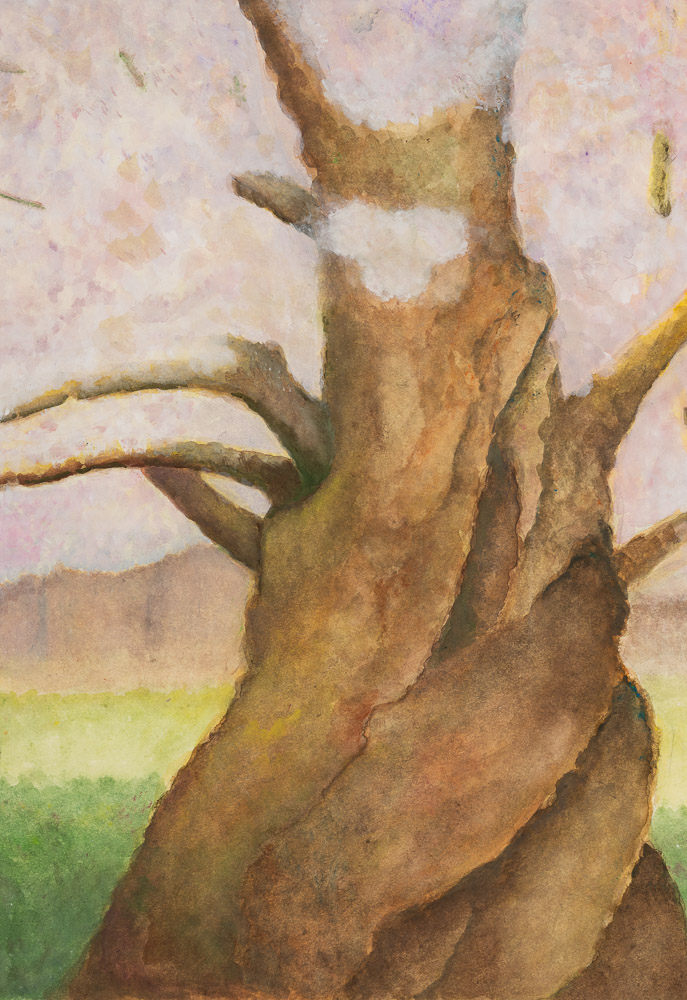 藤元鏡子　古木