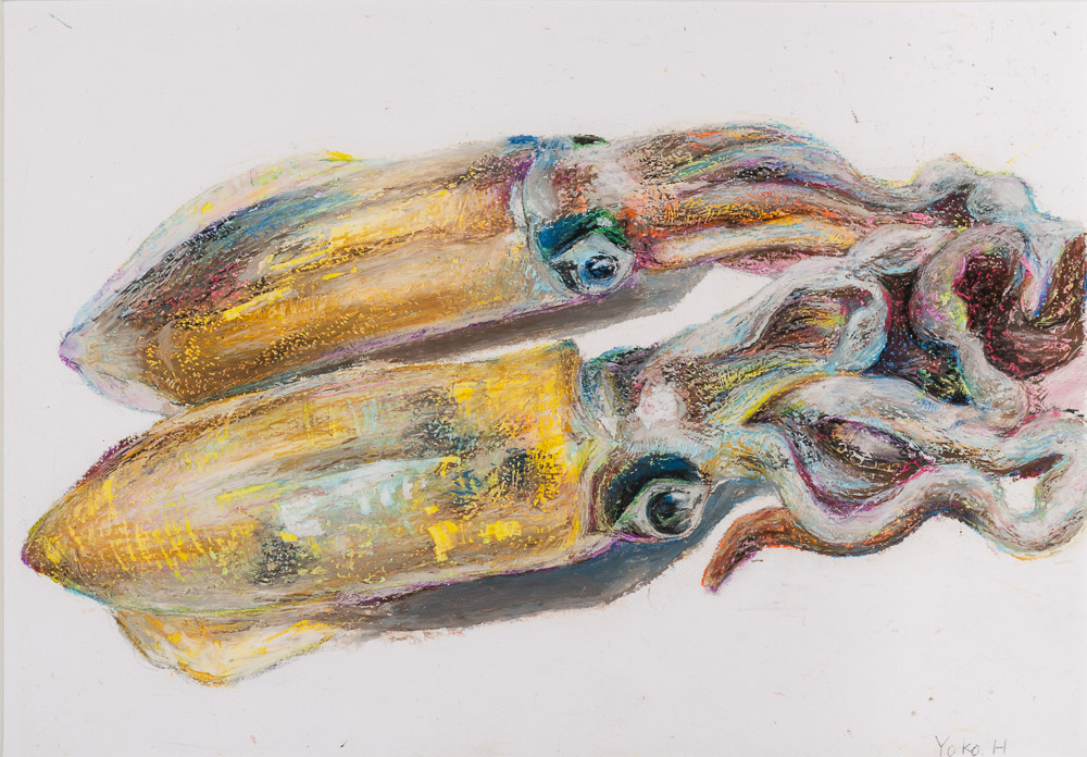 花出陽子　烏賊