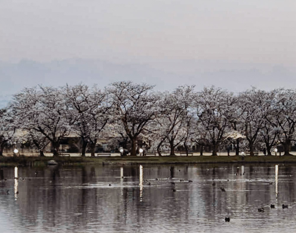 清澤澄江　春の今宵