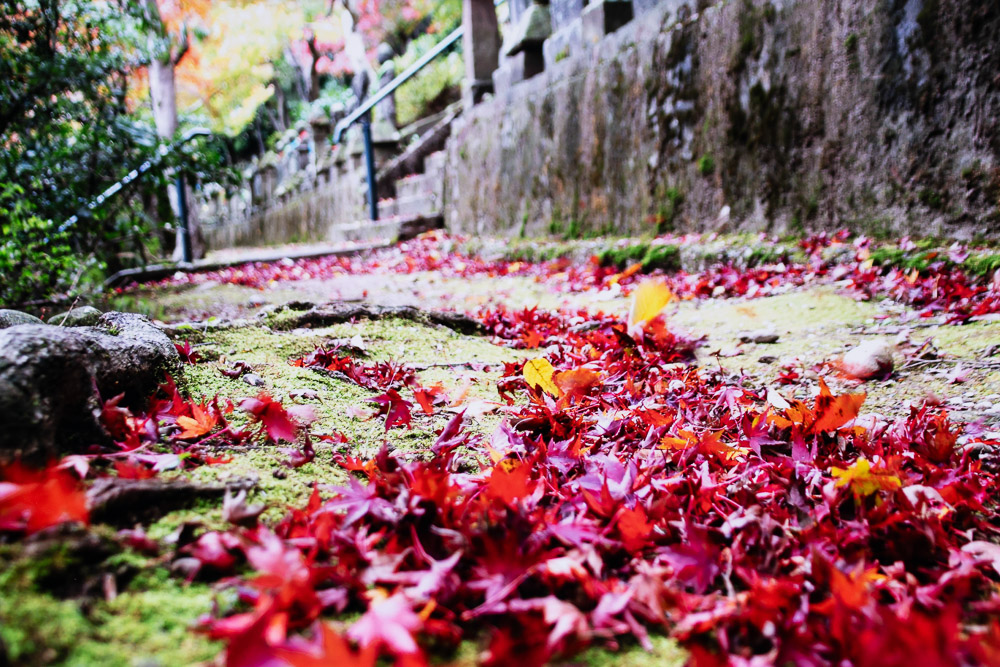 小鍛冶まち子　秋風
